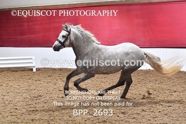 BPP_2693 - LOOSE JUMPING / SPSS