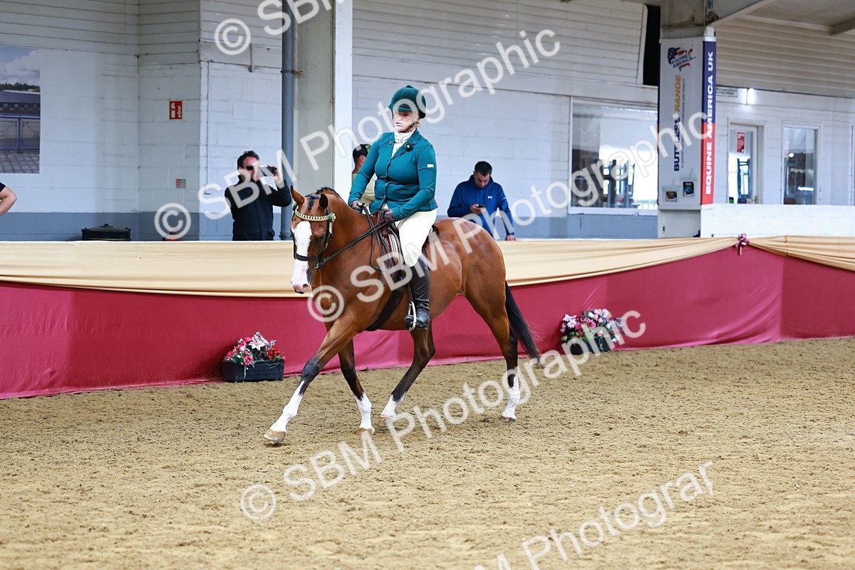 SBM_23810 - Class 905 - Supreme Final - Ridden Veteran