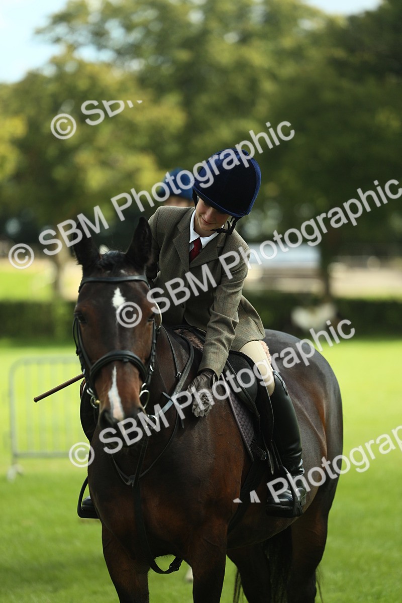 SBM_42155 - S29 - Novice & Newcomers Working Hunter Pony
