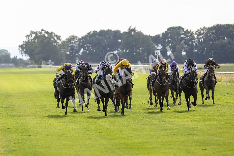 240624-Race 8-Le Beau Garcon-0598 - Race 8