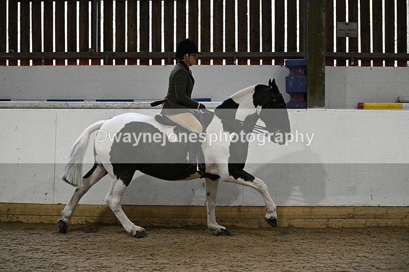 WJ7_3829 - Class 17 Ridden Cob