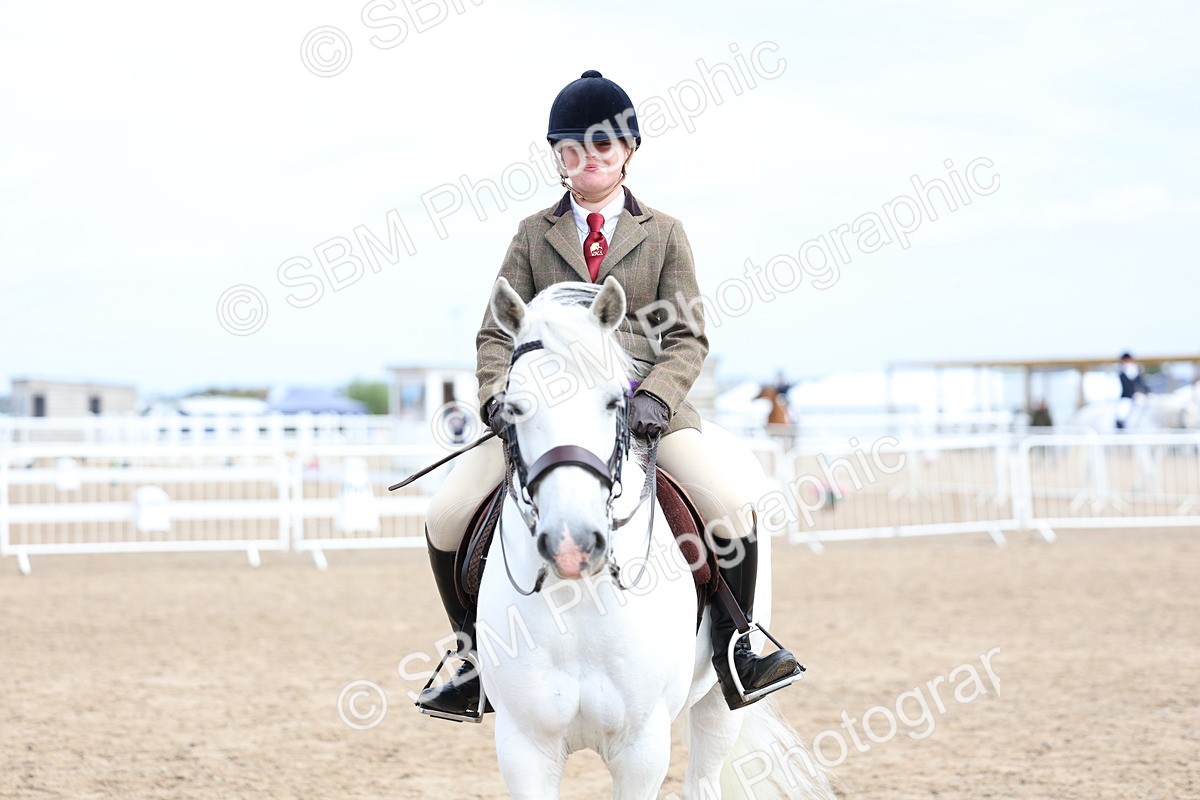 SBM_01536 - Class 17 - Prettiest Mare