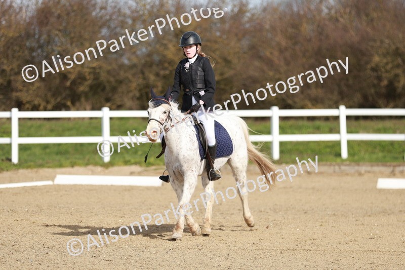 20260314-1111 - DR2 - Intro 3