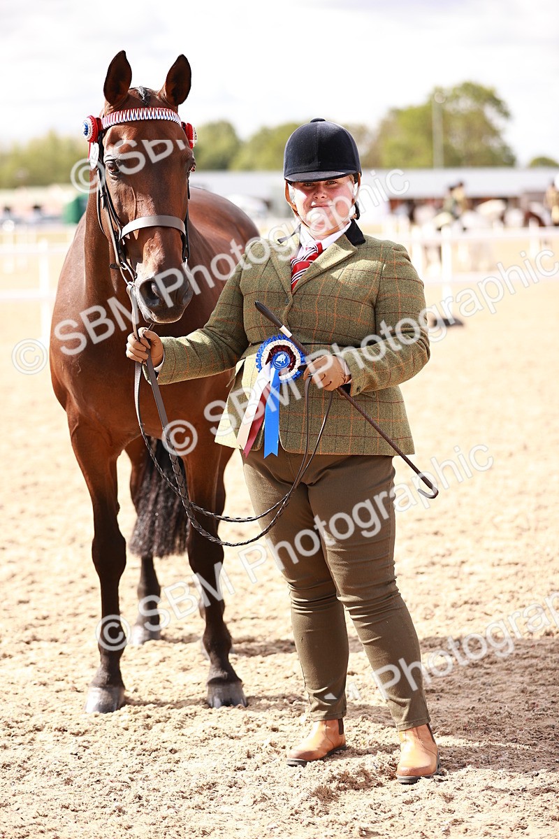 SBM_14234 - Class 407 - IH Hack Riding Horse