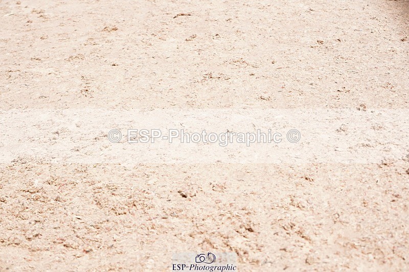 250510-105822-10966 - Cls 15 Prestige Big Star Qualifier