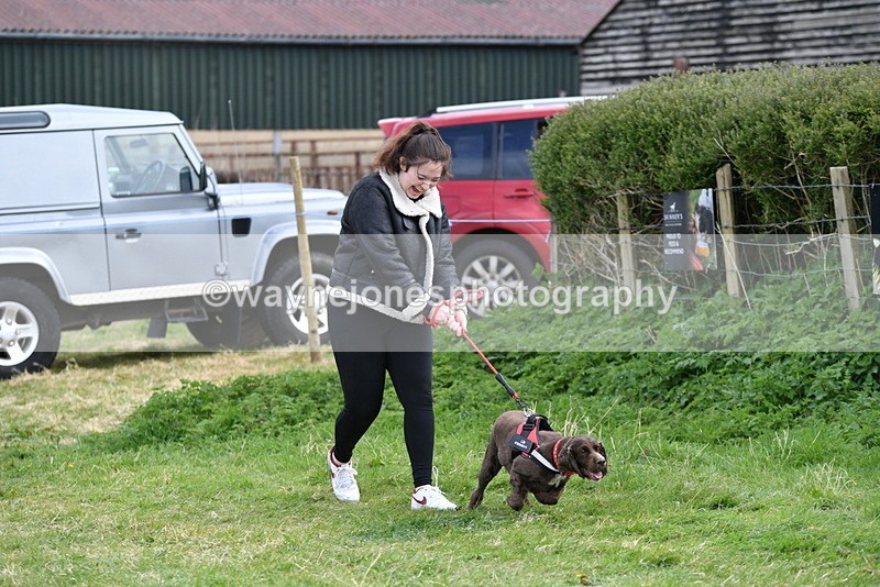 WJ5_0054 - Class 5 Best Veteran / 7 years & over