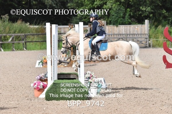 BPP_9742 - CLASS 2 Derby Show Jumping 30CM