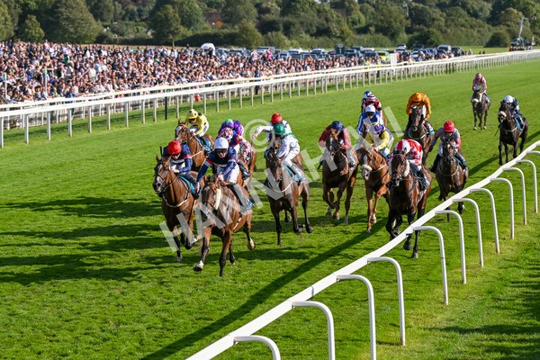 240824-Race 7-Sir Busker-1970 - Race 7 5.20pm Sky Bet Finale Handicap