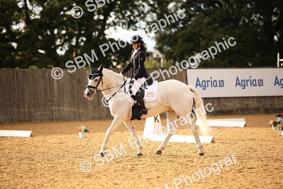 SBM_12431 - D3 Small  Tour Championship Intro A