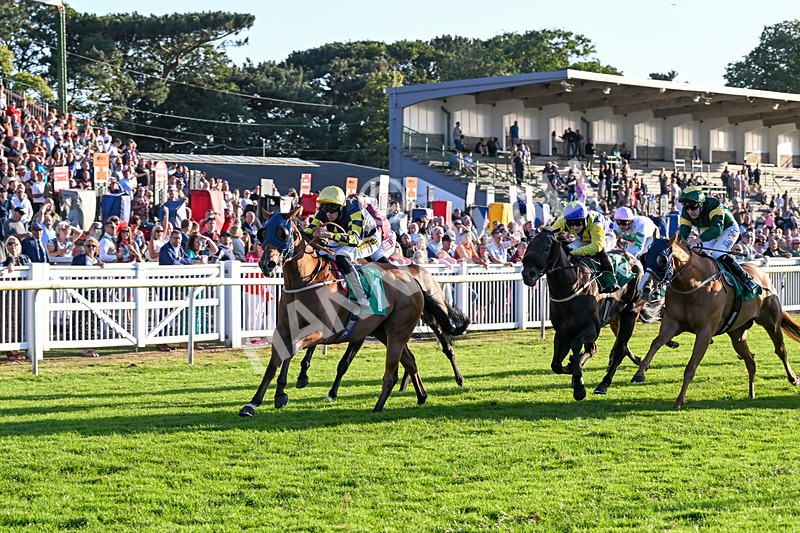 160824-Race 5-Ready Freddie Go-9579 - Race 5