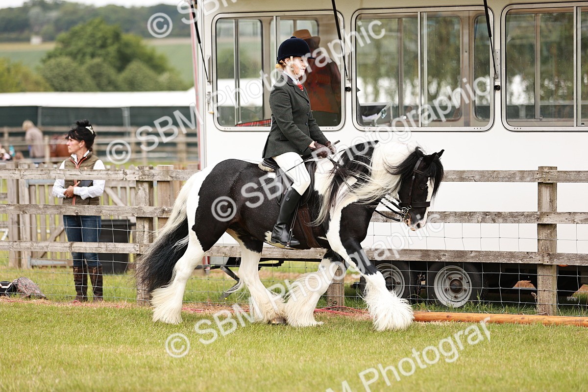 SBM_06104 - Class 39-41 TGCA In Hand and Ridden