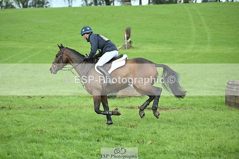 250419-170122-13440 - 855-Harry.Horton-STONEPARK.METRO