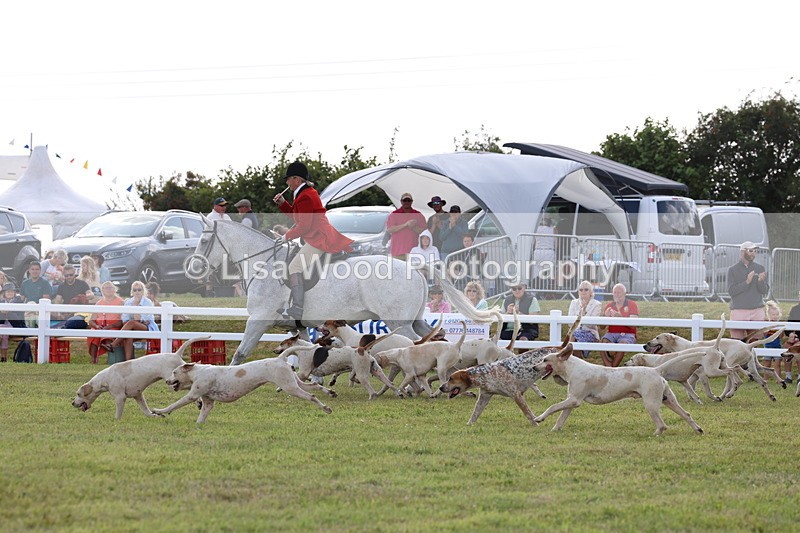 3E7A3433 - Parade of Hounds