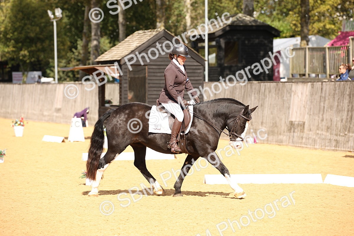SBM_08880 - D8 Small Tour Championship Prelim 7