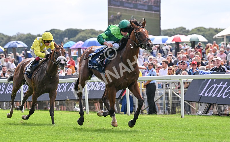 190826-040 Haffner - Race 2 14.25pm Tattersalls Acomb Stakes