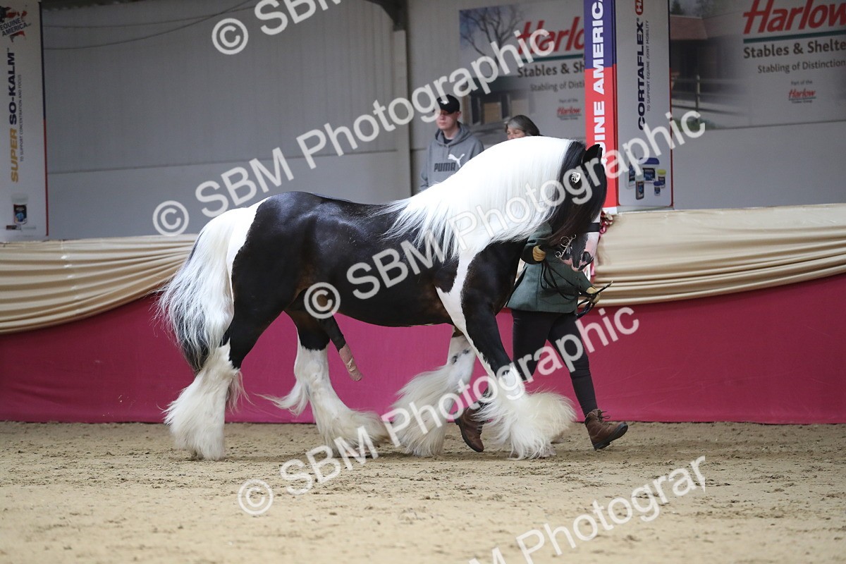 SBM_01322 - Class 3a Area IH Pre Vet