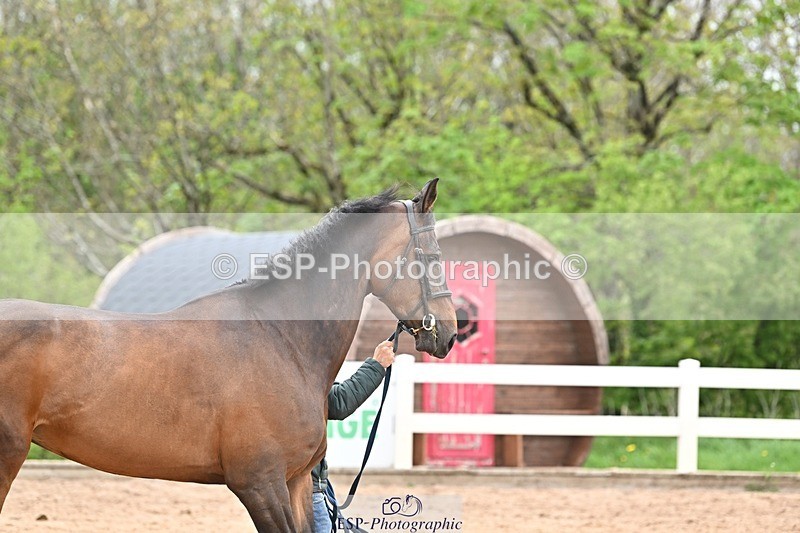 250423-160933-01991 - 4pm to 5pm