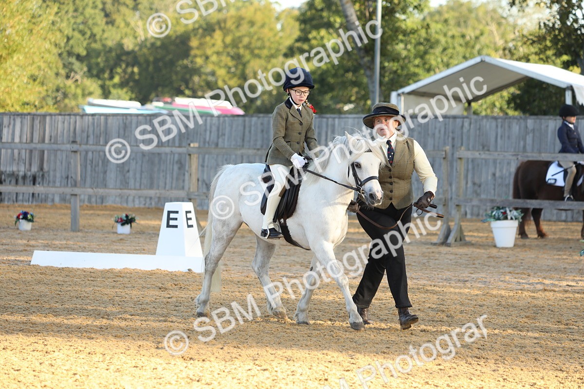 SBM_33602 - D26 - Starers - Lead Rein