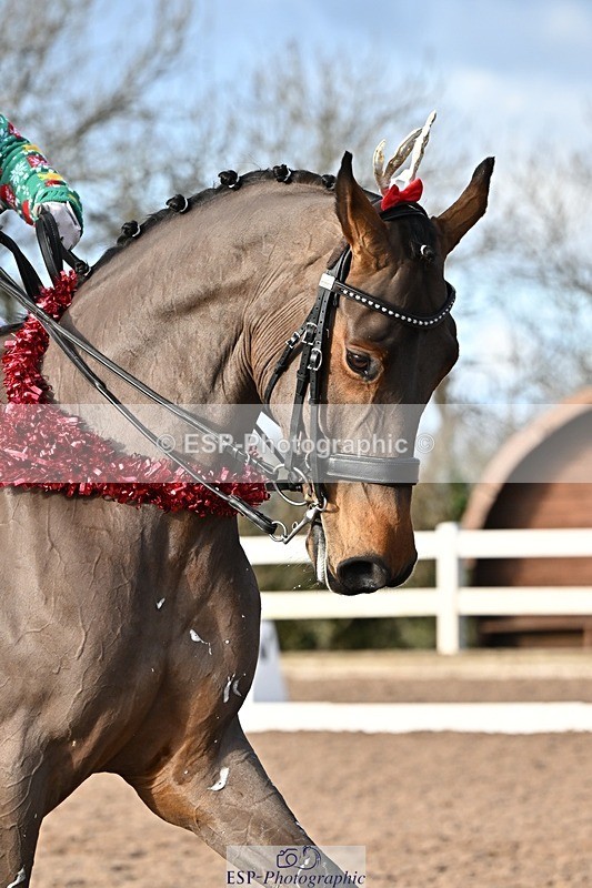 241214-131840-02386 - 106-Tyler.Bradshaw-Mexx