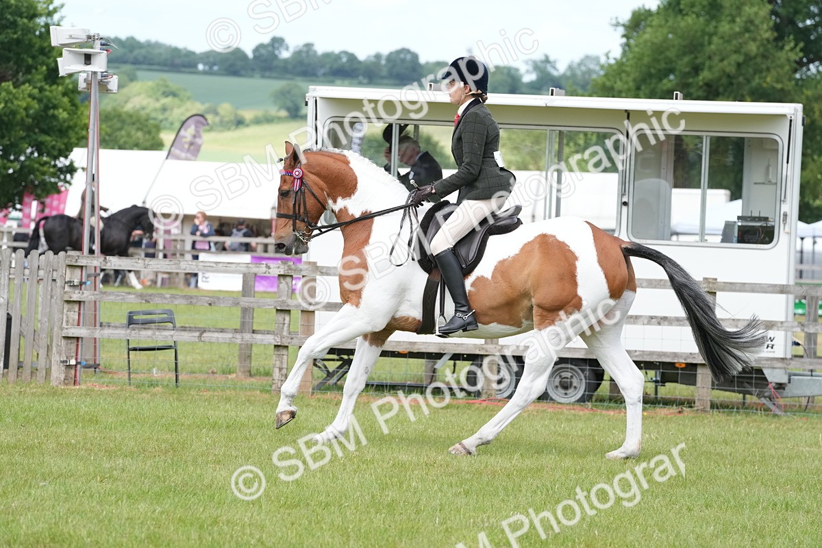 SBM_17602 - Class 107-108 - LIHS BSPS Performance Coloured Horse Pony