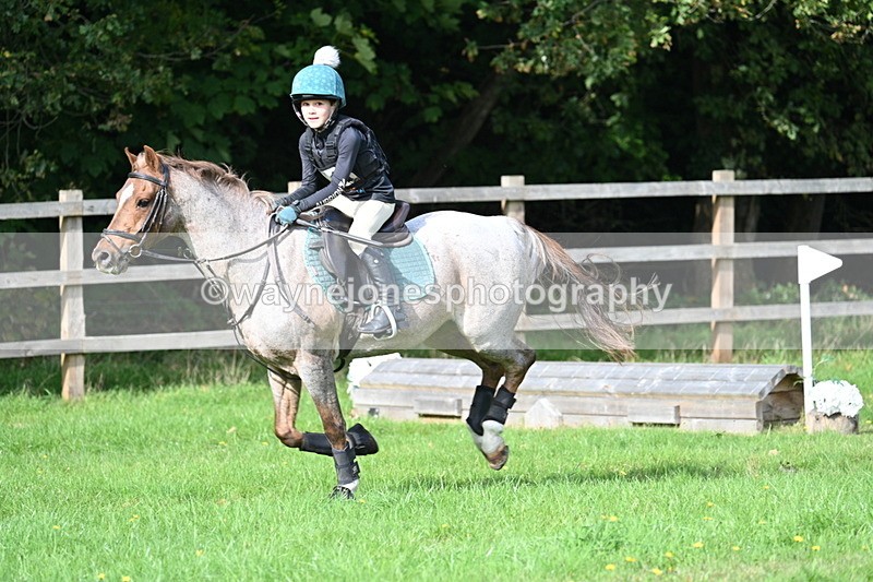 WJ7_5038 - 60cm Time 11:11 to 11:19