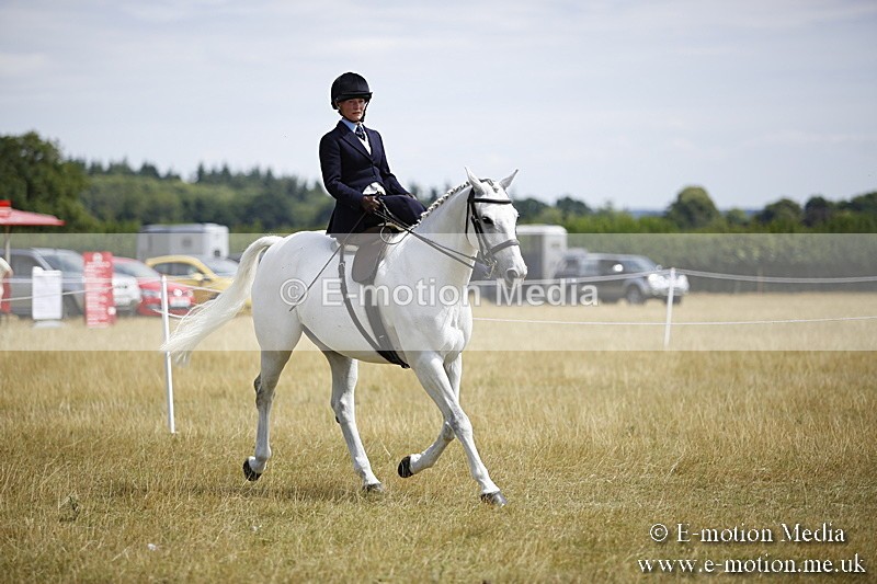 _C7A0303 - Side Saddle Classes BVRC Show 2018