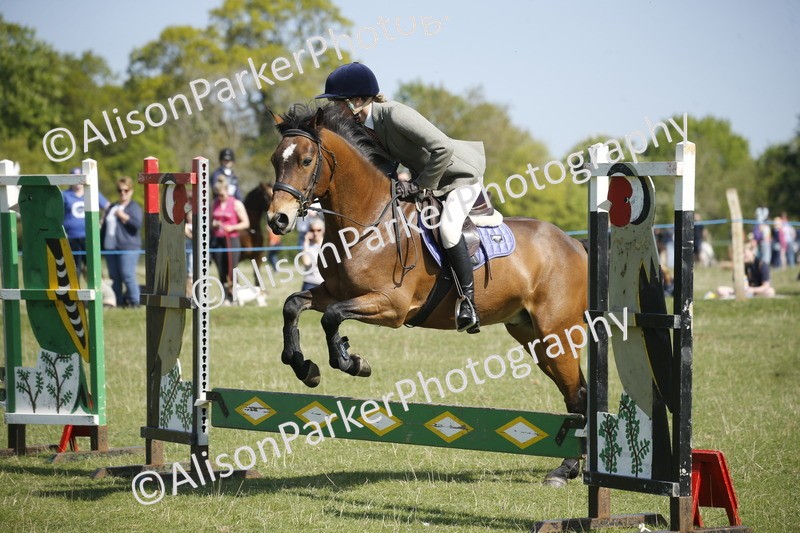 20250427-1987 - Class 13 - Novice Jumping 60cm
