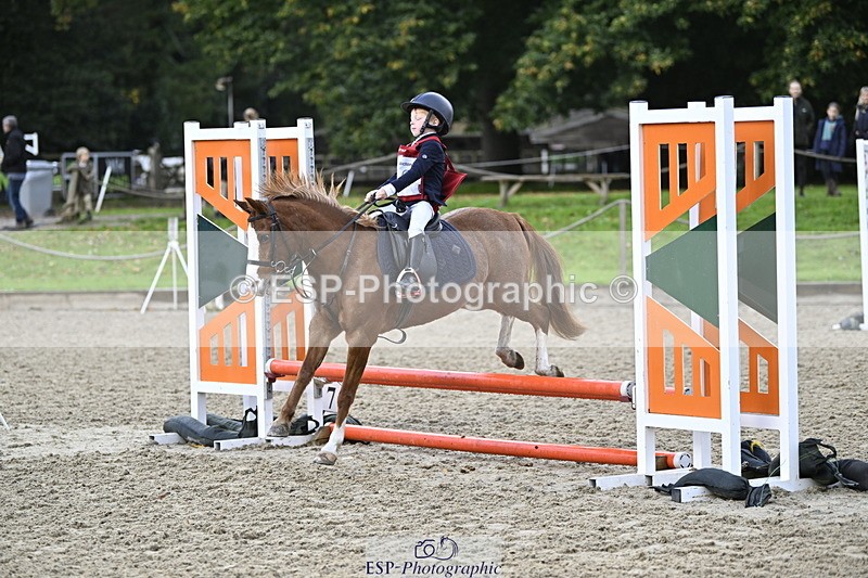 251005A-090835-02960 - Cls 02 GR 50cm