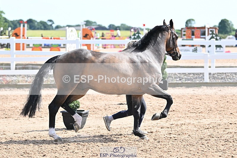 240717A-154618-03057 - Trot Up 3pm to 4pm