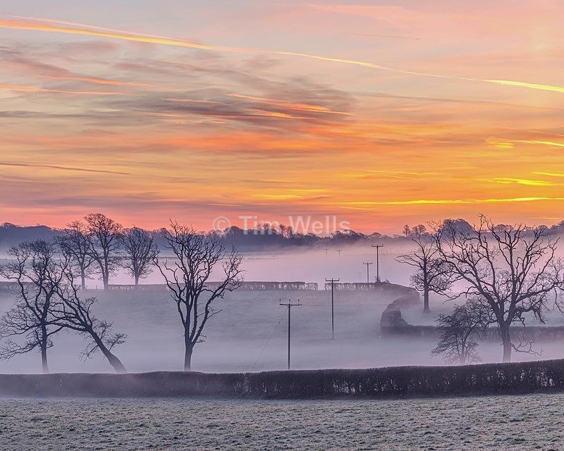017 misty morning - All photos