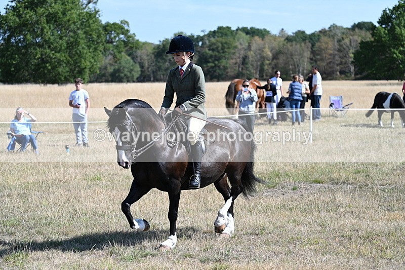 WJ7_3690 - Class 9 Mountain & Moorland Ridden