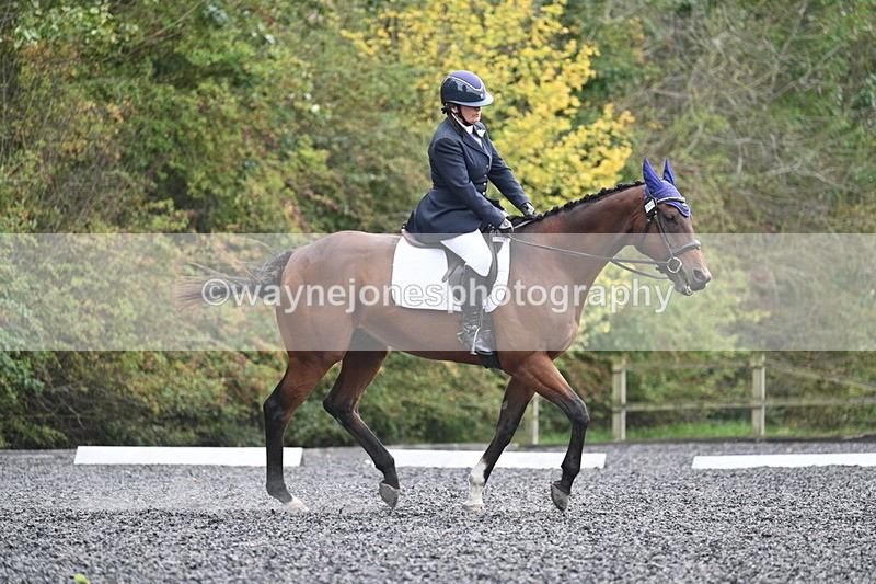 WJ7_6464 - Time 14:49 to 15:14