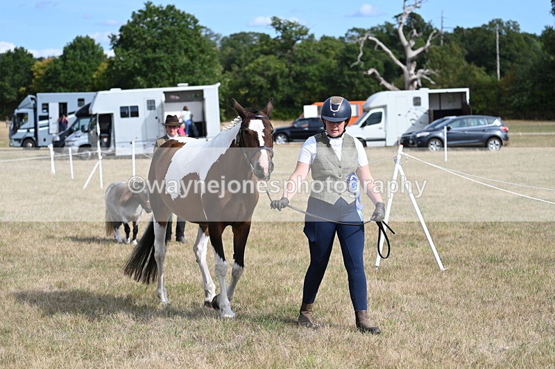 WJ7_8026 - In-hand Championship