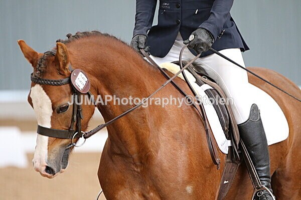 SIAL8000 - GDG Bogenraith Friday 26th Sept 2025