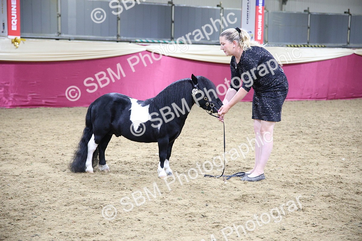 SBM_19257 - Class J Coloured Champ