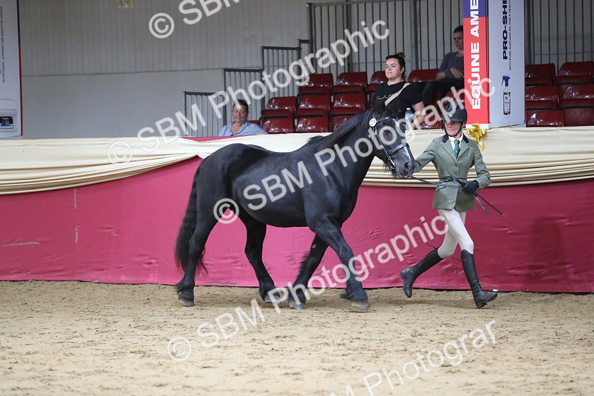 SBM_04966 - Class 8R- Regional -IH Veteran