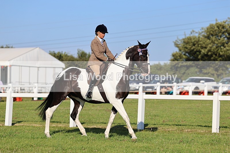 IMG_1188 - Class 27: Ridden Plaited Coloured Horse