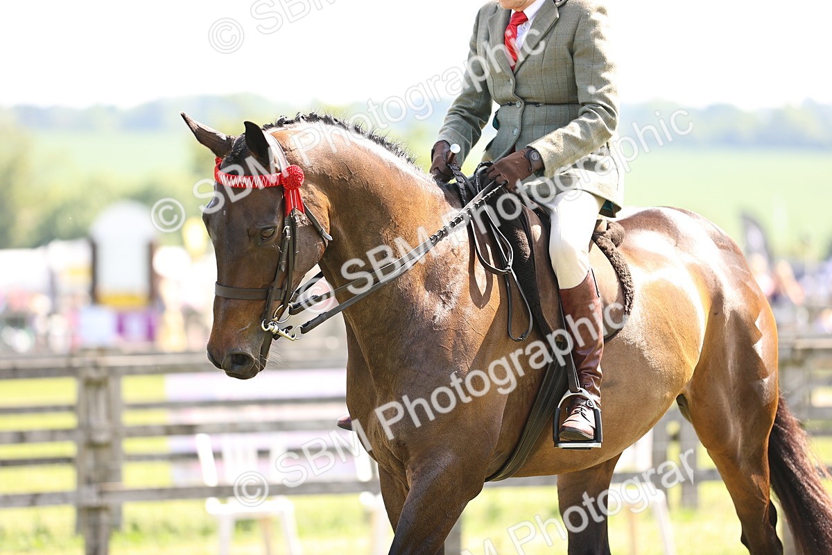 SBM_13003 - Class 75-76 LIHS BSHA Rising Star Hack Riding Horse