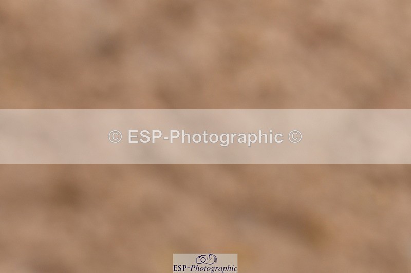 240121A-114345-00626 - Cls 7+8 Elementary 45 and 59