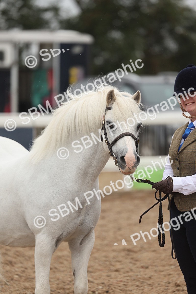 SBM_00596 - Class 13 Young Handler