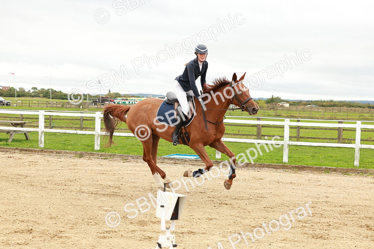 1I0A6967 - Class 2 - Senior British Novice