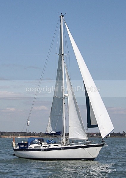 090413 PELICAN IMG_2328 - Sailboats - monohull