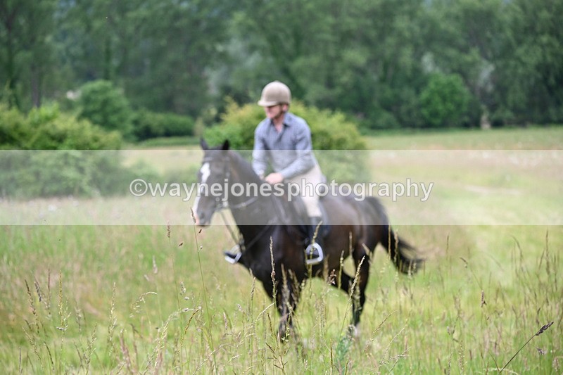 WJ6_8220 - Camera 1 Gallops
