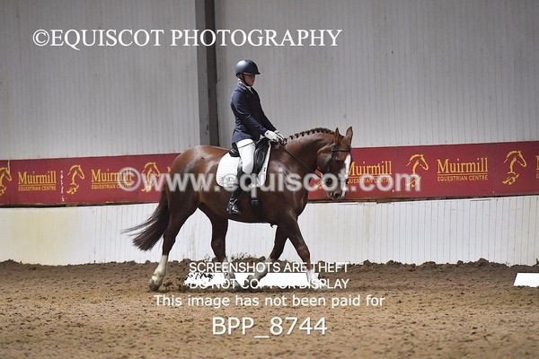 BPP_8744 - NOVICE 6 BD