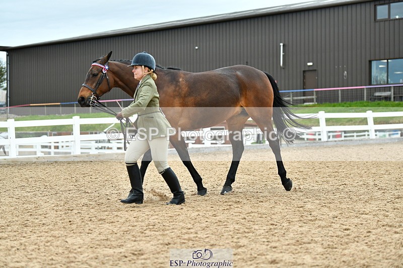 230416A-135651-04974 - Cls 60 Ridden Show Horse