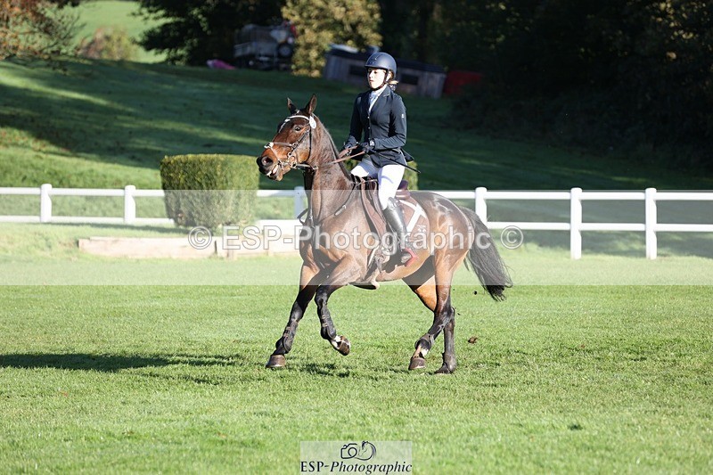 231022-094401-24075 - 670-SEEK.INDI-Maia.Ramasamy-TrotUp+SJ