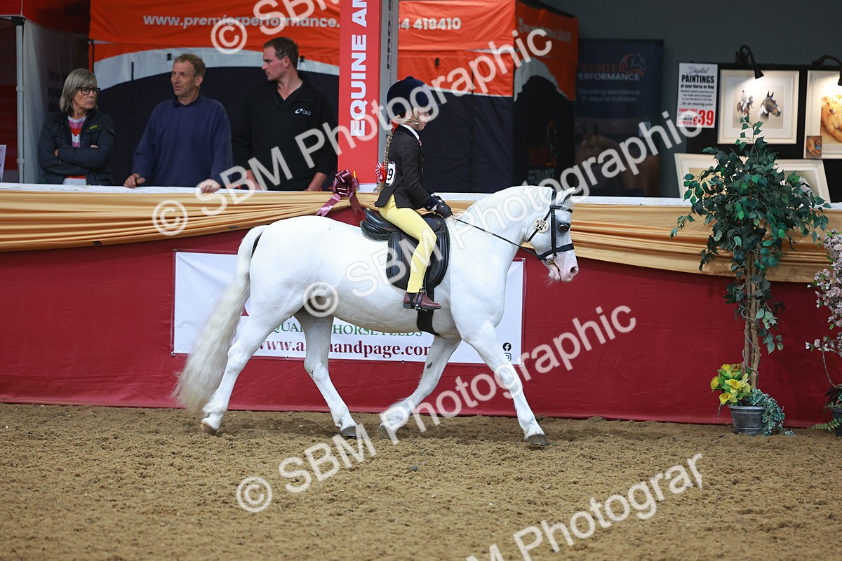 SBM_10577 - Class 103 - HOYS Veteran Qualifier - Ridden Pre Vet