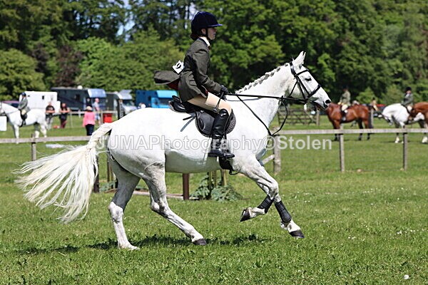 IMG_3534 - Working Hunter