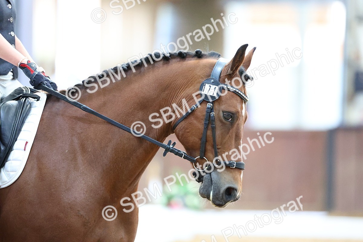 SBM_015149 - Class 15 - Novice FSM 8.30-9.26