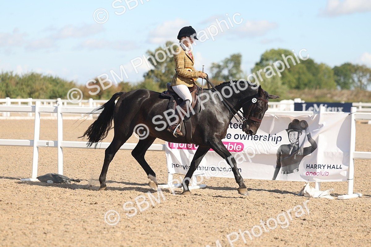 SBM_12442 - Class 304 - Ridden part Bred Horse Pony
